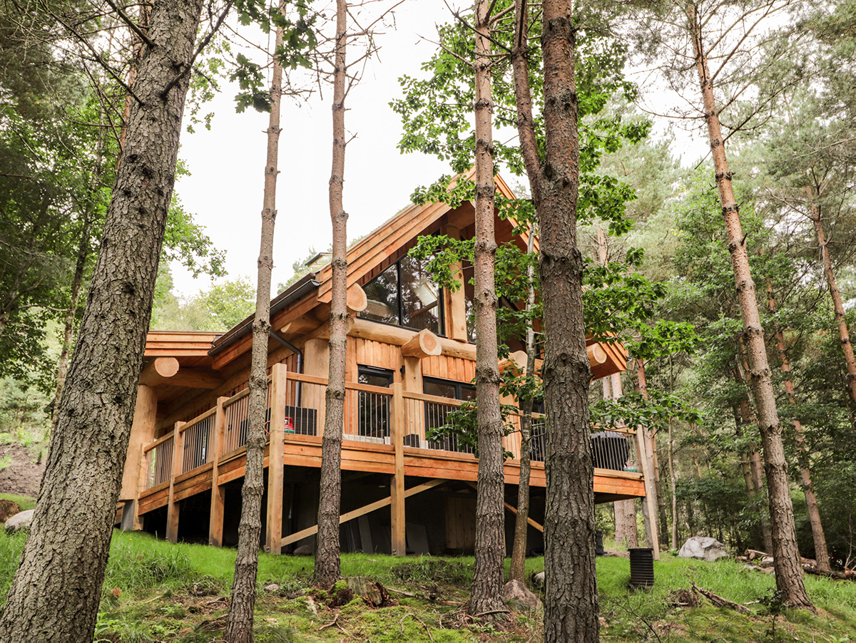 Pine Marten Lodge in forest