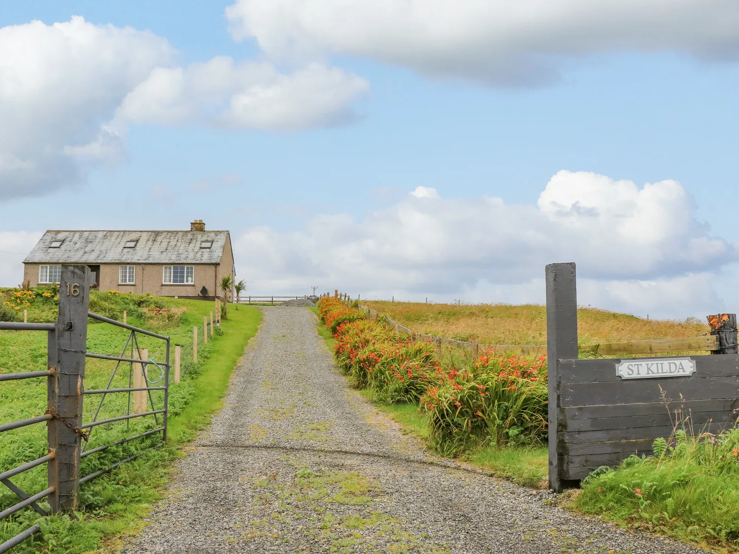 driveway leading to a single-storey house surrounded by fields